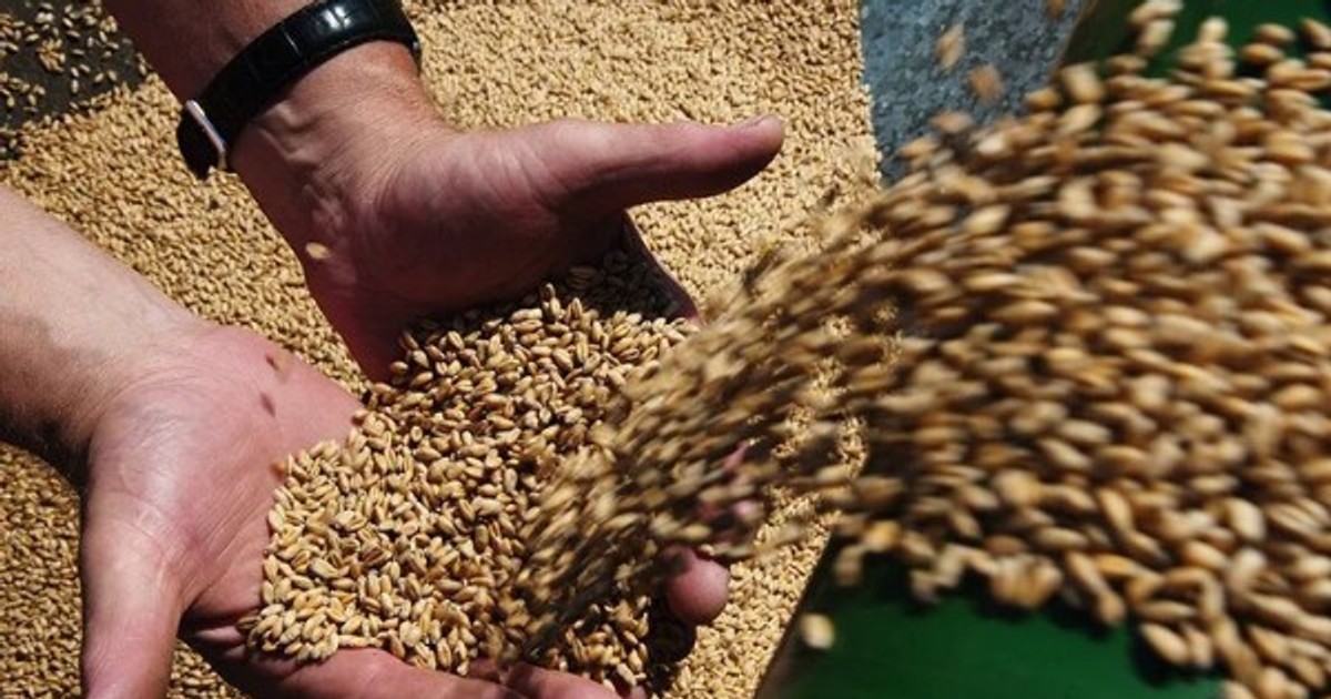 Egypt's new commodity exchange to be overseen by military-linked agency