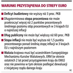 Po wejściu do srefy euro uprawnienia RPP i NBP trzeba będzie zmienić