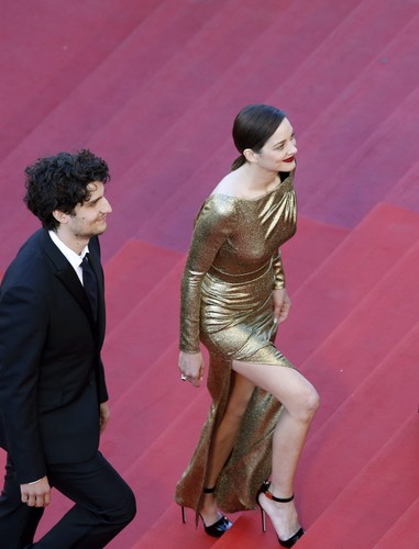 Samo złoto! Marion Cotillard na premierze filmu 'Mal de Pierres' ('From the Land of the Moon')
