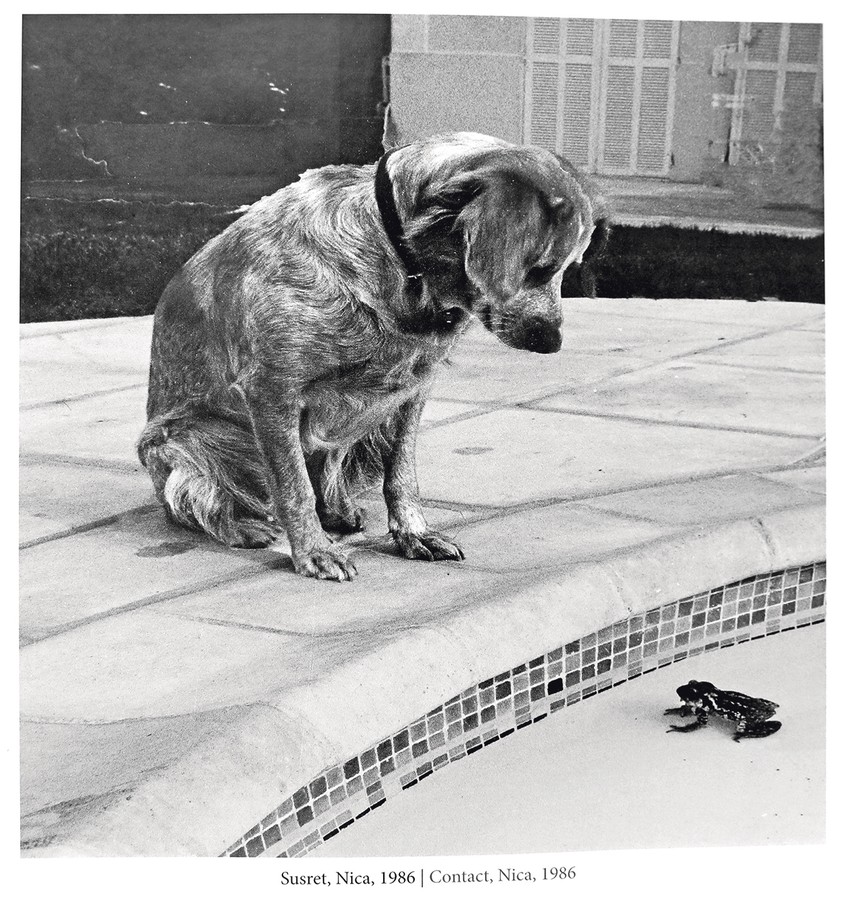 Susret, Nica, 1986.