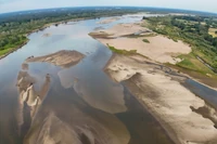 Toxic Algae Choke Sulejów Reservoir — Scientist: Residents Polluted It Themselves