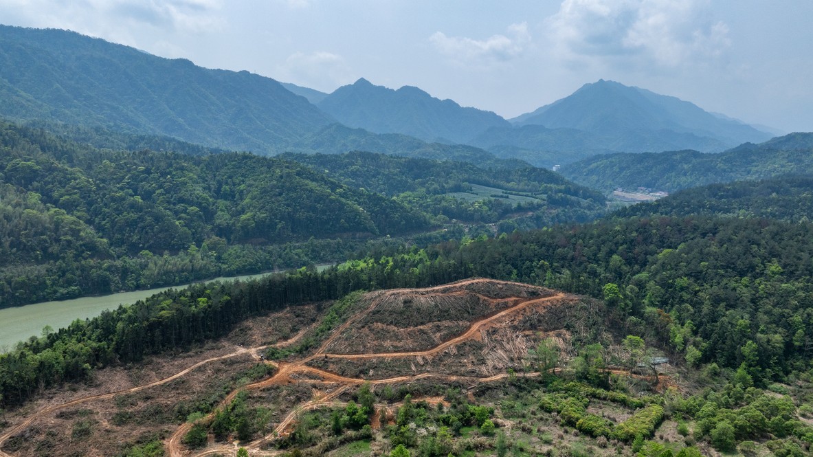 Z vyprahnutej pustatiny vybudovali zelený zázrak.