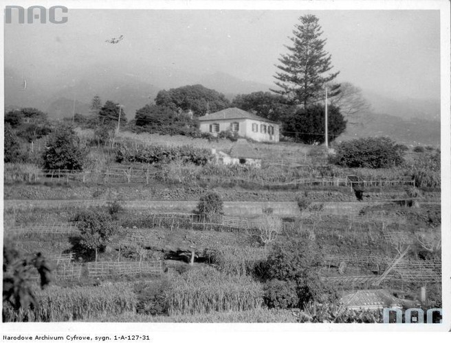 MARSZAŁEK JÓZEF PIŁSUDSKI NA MADERZE