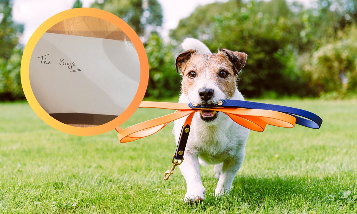 Napisali do sąsiadki list w sprawie psa. Niesamowita reakcja kobiety