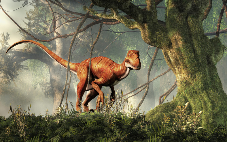 Raptory były małymi mięsożernymi dinozaurami
