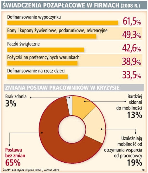 Świadczenia pozapłacowe w firmach (2008r.)