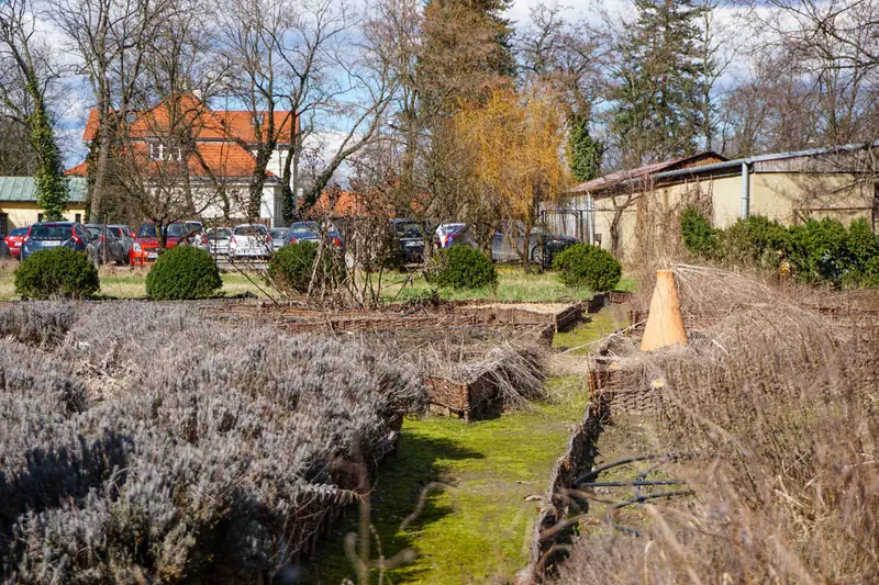 Staropolski ogród szefa kuchni Macieja Nowickiego