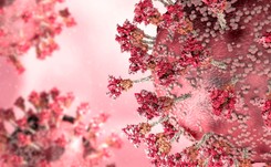 Eksperci: Wirus SARS-CoV-2 może nas jeszcze zaskoczyć. Nadal jest niebezpieczny