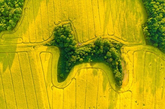 Jan Ulicki wyróżniony w kategorii "Nature"