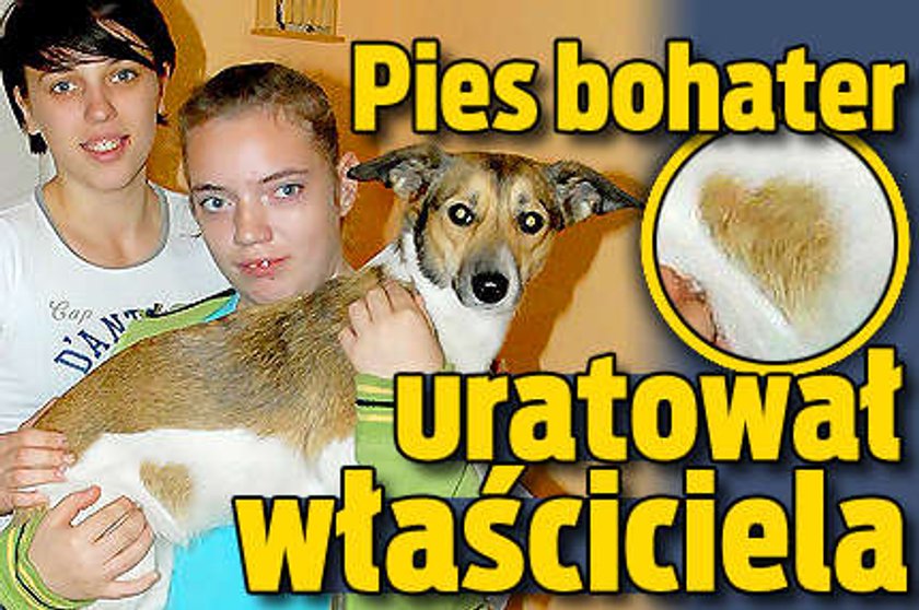 Pies bohater uratował właściciela