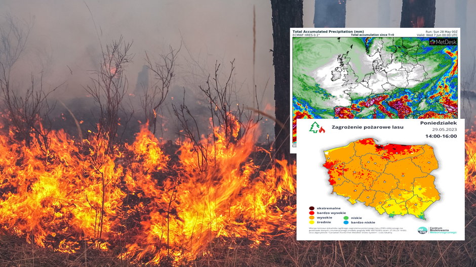 Kolejne dni zapowiadają się bardzo sucho, przez co wzrośnie zagrożenie pożarowe w lasach (mapy: wxcharts.com, IMGW)