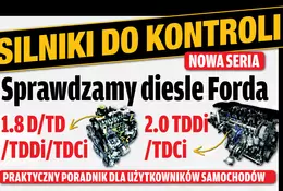 Silniki do kontroli: Sprawdzamy diesle Forda