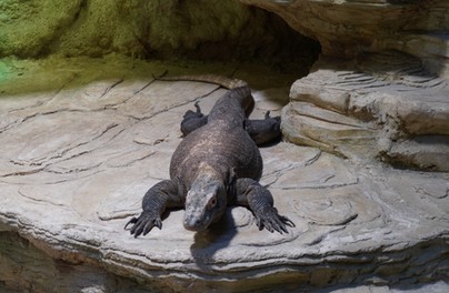 Warany będą miały nowy dom