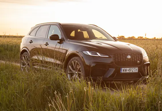 Dziki jak na Jaguara przystało. Testujemy F-Pace’a w limitowanej wersji