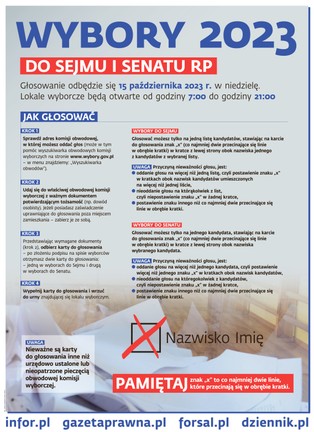 Wybory 2023: jak głosować, aby oddać ważny głos? [WAŻNE INFORMACJE]