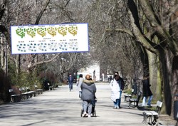 Idzie potężne uderzenie ciepła! Nawet 19 stopni. IMGW podał datę