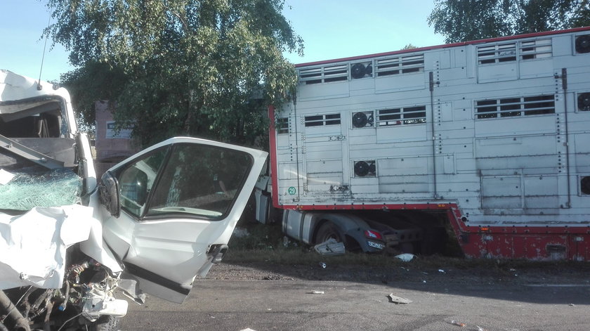 Bus zderzył się z ciężarówką. Wielu rannych!