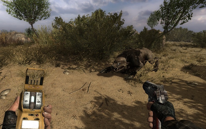 S.T.A.L.K.E.R.: Czyste Niebo, PC