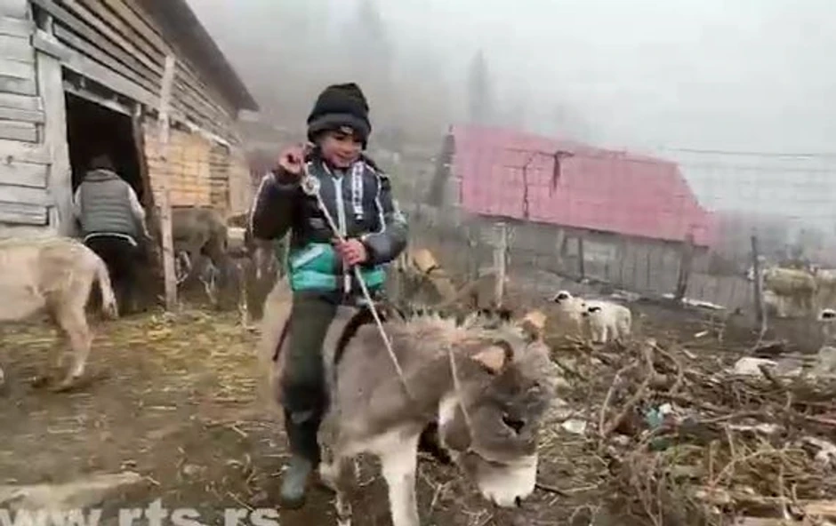 Lukovići sa Golije žive u potpunoj divljini