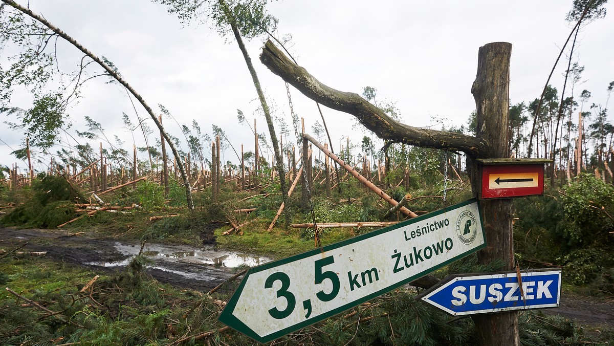 Obóz w Suszku został zatwierdzony w Kuratorium Oświaty zgodnie ze wszystkimi obowiązującymi przepisami. Kadrę stanowili wychowawcy posiadający odpowiednie uprawnienia do pełnienia funkcji wychowawczych - wynika z komunikatu opublikowanego na stronach ZHR.