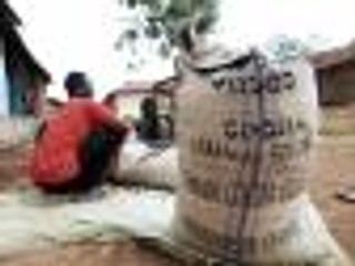 Dobra wiadomość śniadanowa: kakao będzie tańsze