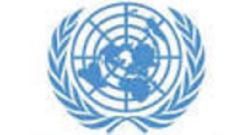 United Nations In Egypt