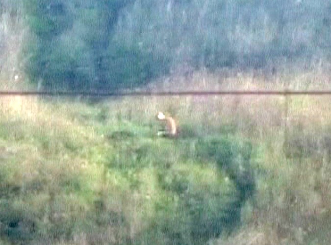 A wszystko to za sprawą amatorskiego filmu, na którym widać... no właśnie, co widać?