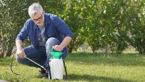 Beliebt & günstig: Drucksprüher für Garten und Hobby im Vergleich