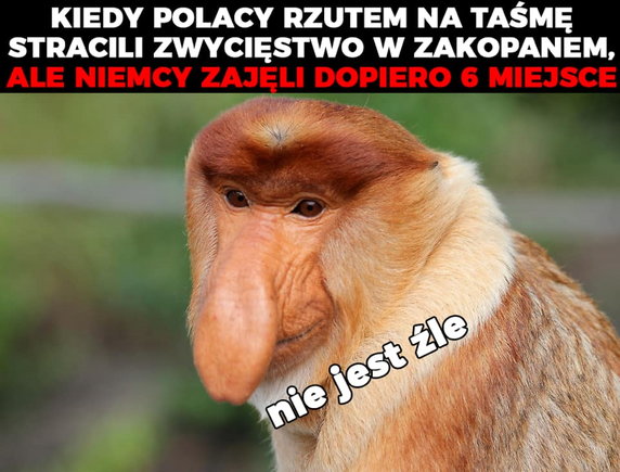 Memy po PŚ w Zakopanem