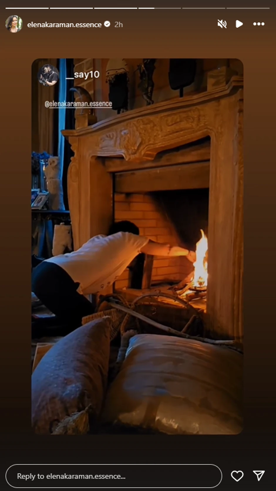 Elena Karaman pokazala dom