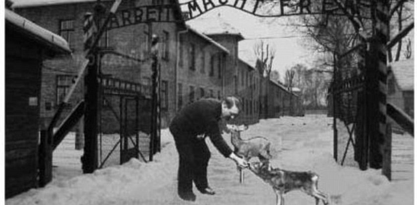 Nagroda im. Hitlera, a w tle Auschwitz