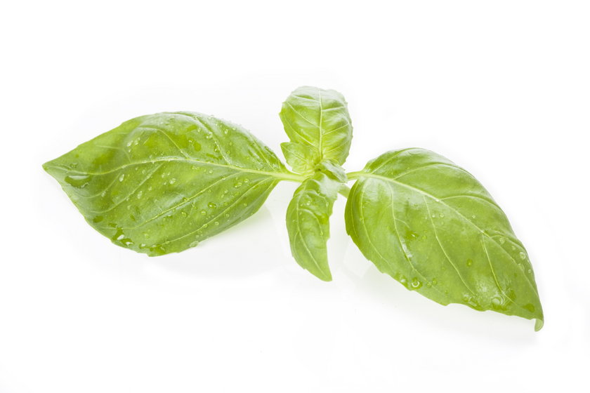 Jak dodawać świeże zioła do potraw, by nie straciły smaku? Ta zasada jest prosta, ale bardzo ważna