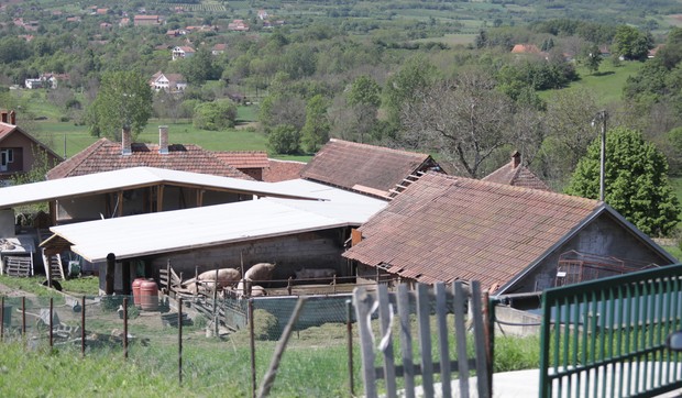Topola