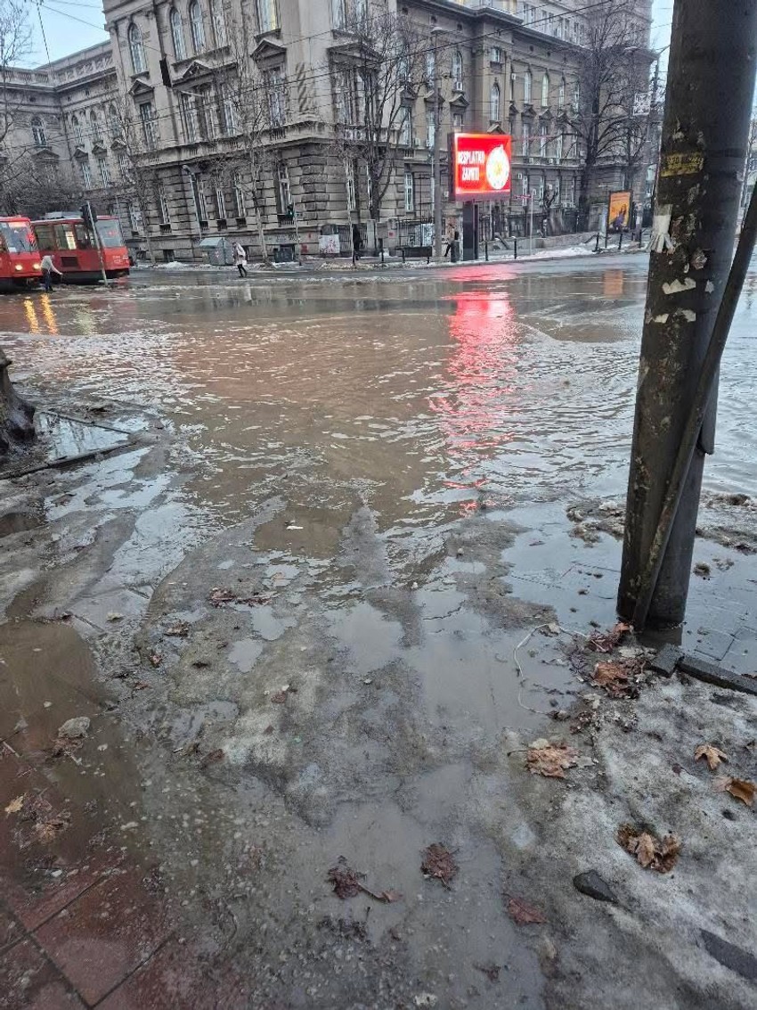 Izlila se kanalizacija u Golsvordijevoj