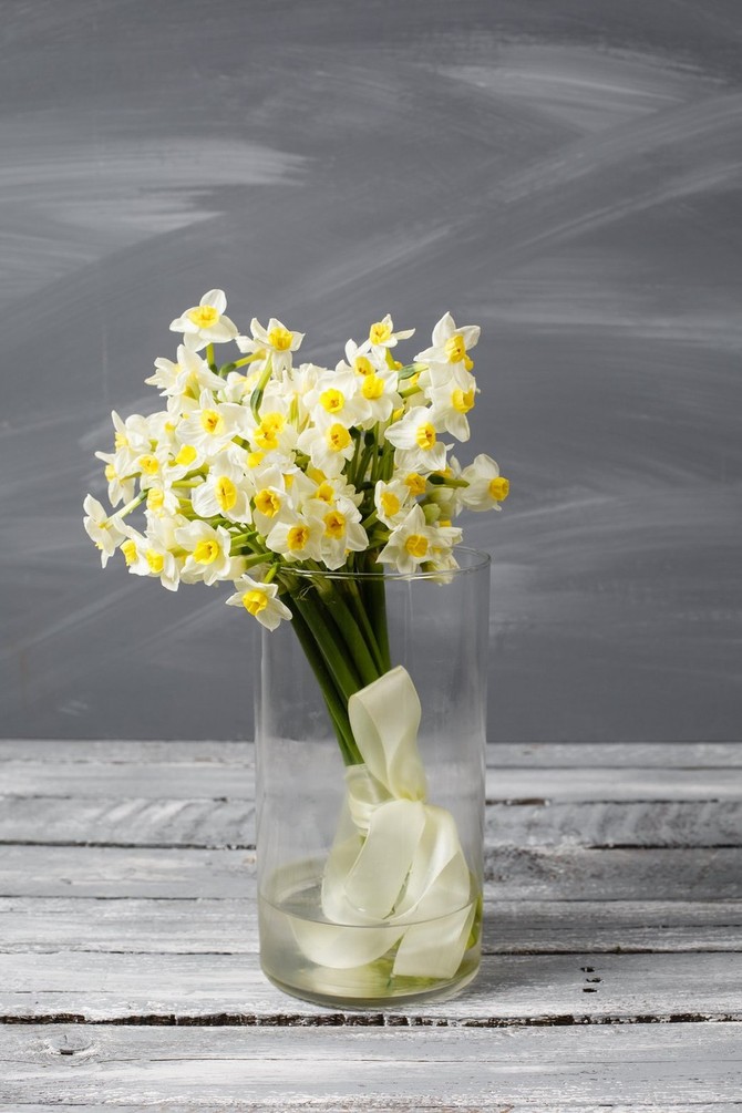 Narcisi