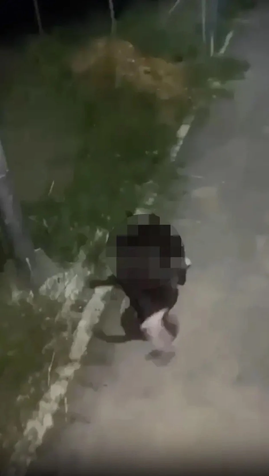 Scene iz uznemirujućeg snimka 