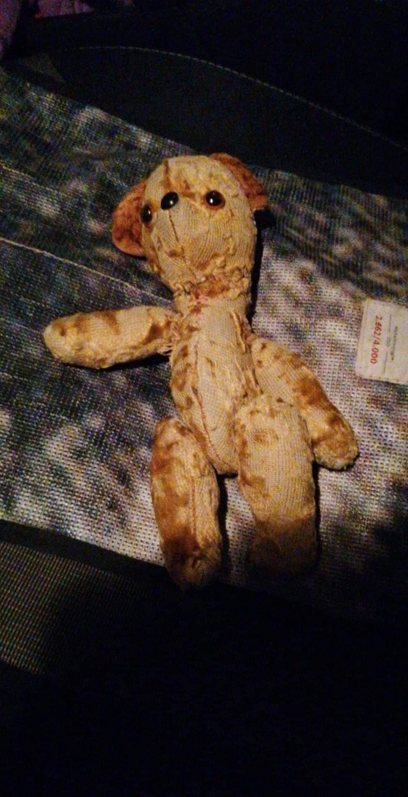 Miś Teddy zginął w zoo
