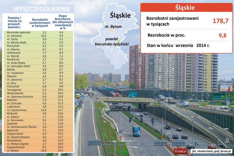 Ze stopą bezrobocia w wysokości 9,8 proc. region ten plasuje się ex aequo z Małopolską na drugim miejscu w rankingu polskich województw. Na tle regionu najbardziej wyróżnia się powiat bieruńsko-lędzicki – najmniejszy pod względem powierzchni i liczby ludności powiat w woj. śląskim. Stopa bezrobocia należy tu do najniższych w Polsce (4,6 proc.) i jest niższa niż w samych Katowicach (4,9 proc.). Powiat bieruńsko-lędzicki jest też jednym z najszybciej rozwijających się powiatów w Polsce. Jest znany głównie z przemysłu wydobywczego (kopalnia węgla kamiennego 'Piast' w Bieruniu i 'Ziemowit' w Lędzinach). Prężnie działają tu też zakłady tworzyw sztucznych i materiałów wybuchowych 'Nitroerg' w Bieruniu. W regionie zainwestowały też wielkie koncerny - Johnson Controls i Danone. 
<br>Na drugim końcu rankingu, z najwyższym bezrobociem w województwie śląskim, znajduje się powiat częstochowski (18,4 proc.) i miasto Bytom (19,3 proc.). W regionie Częstochowy duży wpływ na wzrost liczby bezrobotnych miały redukcje zatrudnienia w hucie Częstochowa. W wyniku restrukturyzacji i programu dobrowolnych odejść, w ciągu roku liczba pracowników w należącej do ukraińskiej grupy ISD Hucie Częstochowa skurczyła się o ponad połowę - pozostało 1,5 tys. z 3 tys. osób. To prawdopodobnie nie koniec zwolnień. 
<br>W Bytomiu w urzędzie pracy zarejestrowanych jest 10,4 tys. bezrobotnych. Bezrobocie co prawda lekko spada, ale wciąż jest największym problemem miasta. Kiedyś działało tu 11 kopalń i 2 huty żelaza, dziś funkcjonuje tylko kopalnia węgla kamiennego „Bobrek-Centrum”.