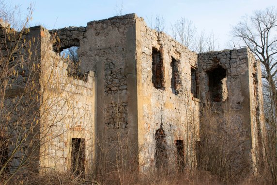 Ruiny dwor w górnym Gościszowie