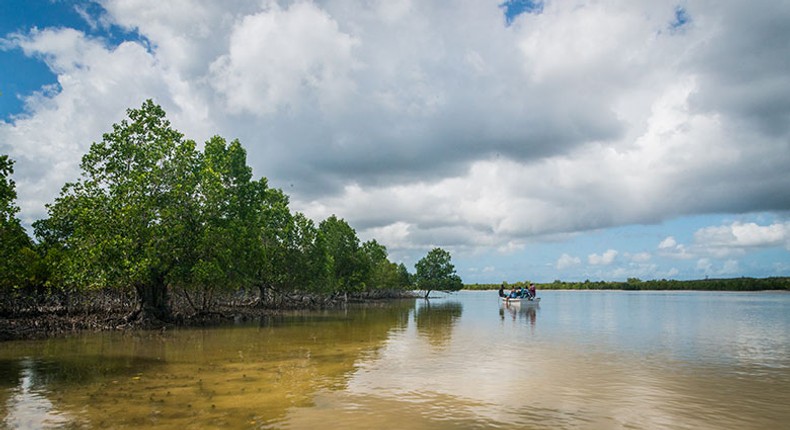 The World Bank gives Tanzania an ultimatum on a $150 million project