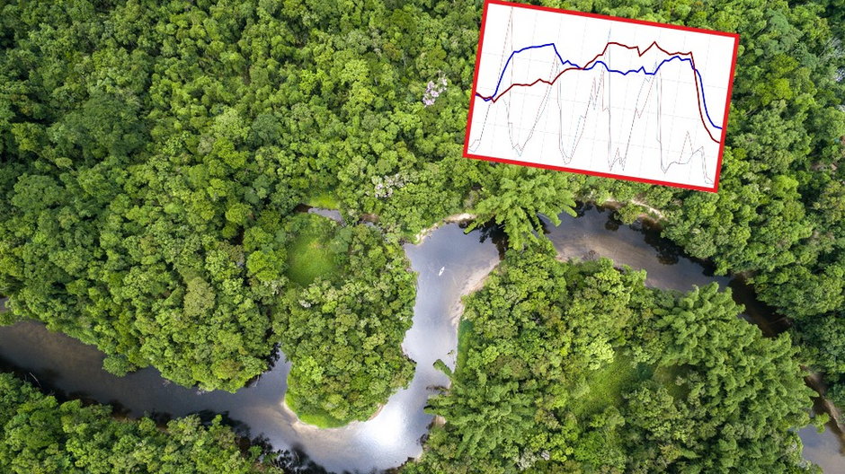 W Amazonii wycinki najmniejsze od lat