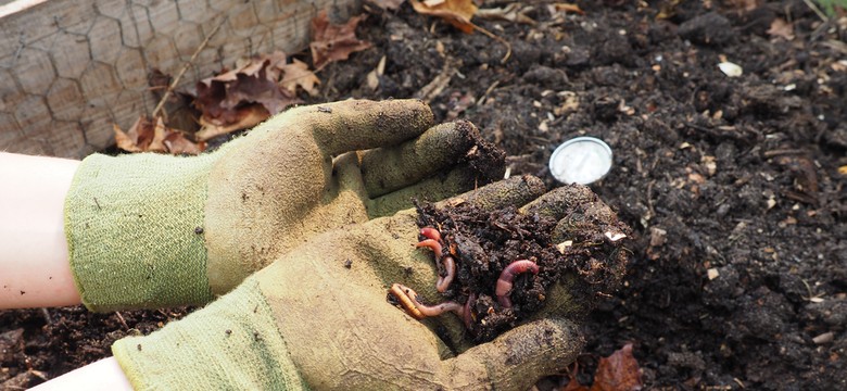 Włókna naturalne gorsze niż plastik? Zaskakujące wyniki badań