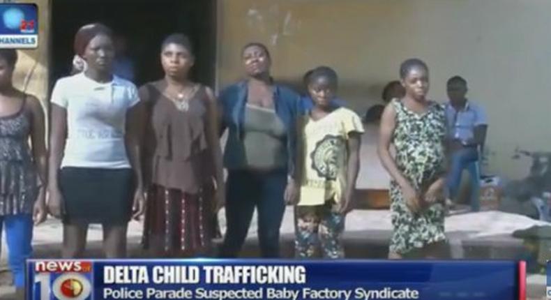 The suspected baby factory syndicate