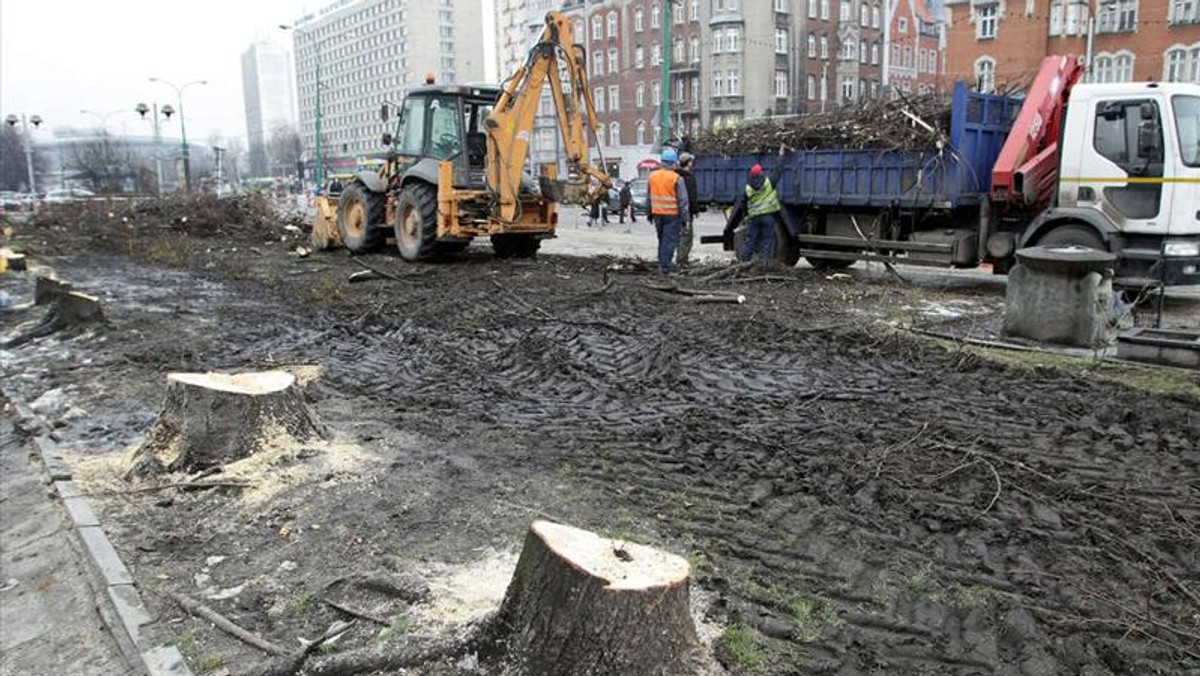 Katowice szczycą się mianem miasta ogrodów. Ale to jest miasto betonu! Znikają dorodne drzewa w alejach Korfantego, bo miasto buduje tam drogę. W zamian zamiast drzew dostaniemy na ulicach krzaki w donicach. Byle nie były to nędzne tuje uwięzione w klatkach z ul. Mariackiej.