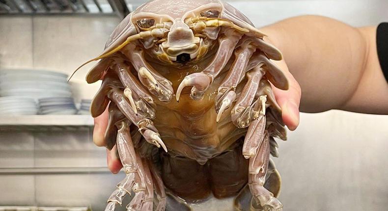 The 14-legged isopod is RamenBoy's dream ingredient, the restaurant said in a Facebook post.RamenBoy