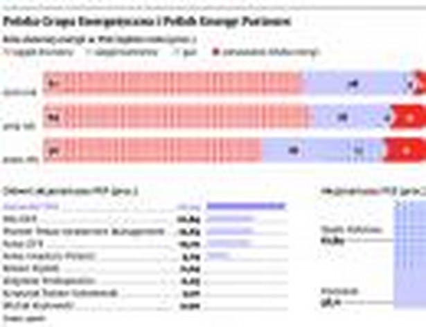 Polska Grupa Energetyczna i Polish Energy Partners