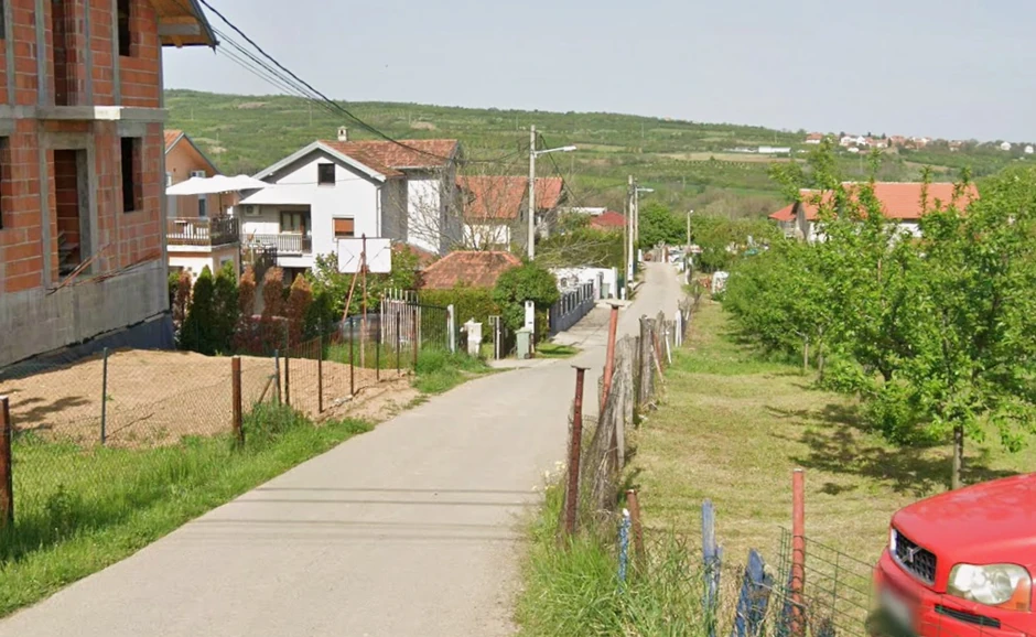 Mesto gde je došlo do ujeda osa