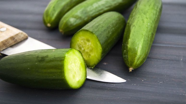 Cucumber