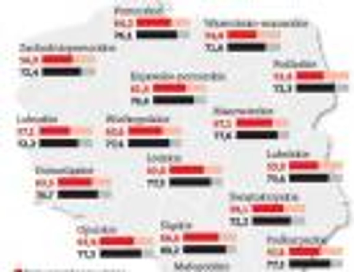 Przedsiębiorstwa posiadające własną stronę internetową i adres e-mailowy