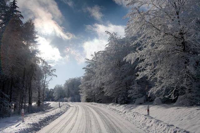 Galeria Polska - Bieszczady w zimowej szacie, obrazek 10